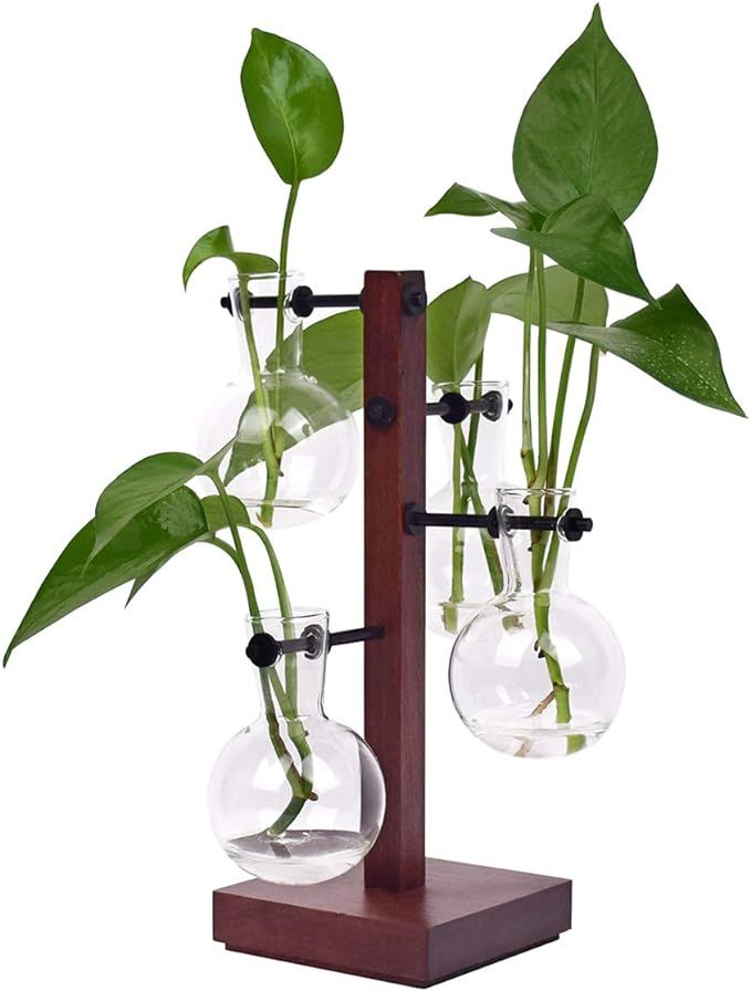 NEWCOMDIGI 4 Clear Desktop Glass Planter Bulb Vases with Retro Solid Wood Stand for Hydroponic Pl... | Amazon (US)