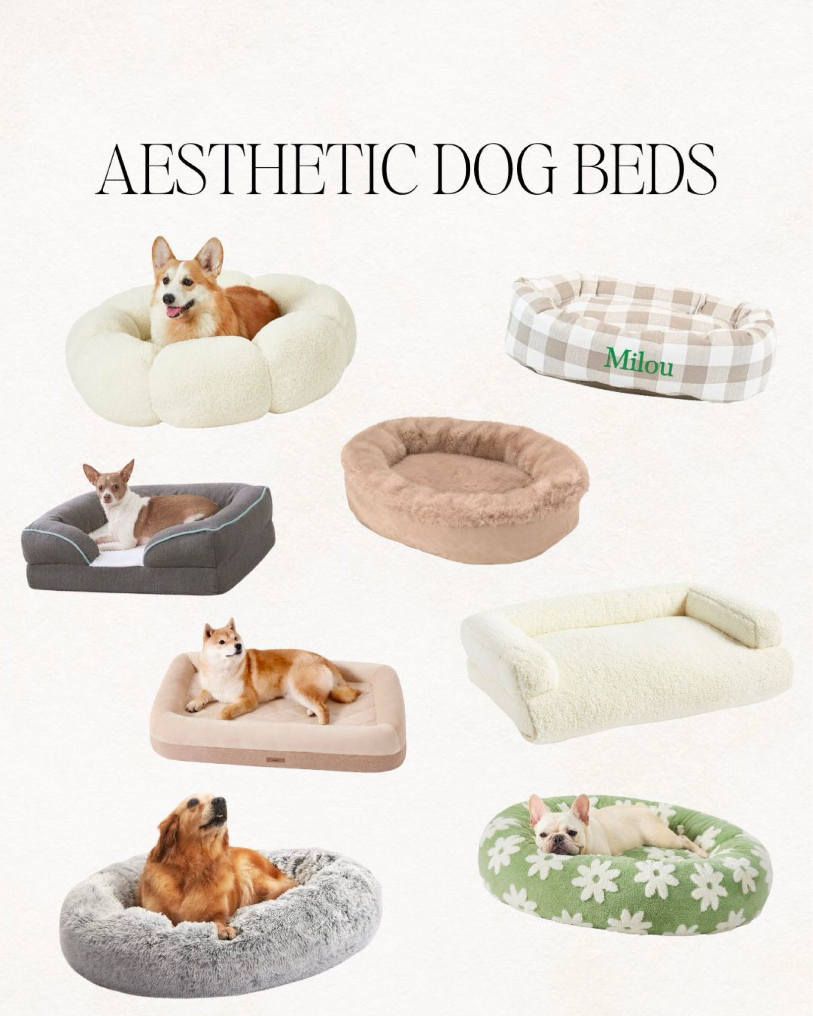 dog gifts, dog toys, pet toy, treats, dog treats, blue buffalo treats, valentines day gift, vday gift, valentines day dogs, pet gift, red toy, pink toy, dog sweater, dog bandana, dog bed, cozy dog bed, pet bed, cat bed, aesthetic dog toy, aesthetic dog bedd

#LTKsalealert #LTKhome #LTKfindsunder100