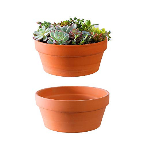 Yishang Large Terracotta Pots for Succulent - 10 Inch Cactus Plant Containers Indoor Garden Bonsai Pots with Drainage Hole - Set of 2, Unglazed Clay Ceramic Pottery Planter | Amazon (US)