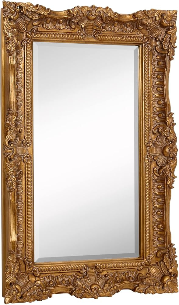 Hamilton Hills 24" x 36" Baroque Gold Framed Glass Rectangular Mirror| Large Ornate Baroque Frame... | Amazon (US)