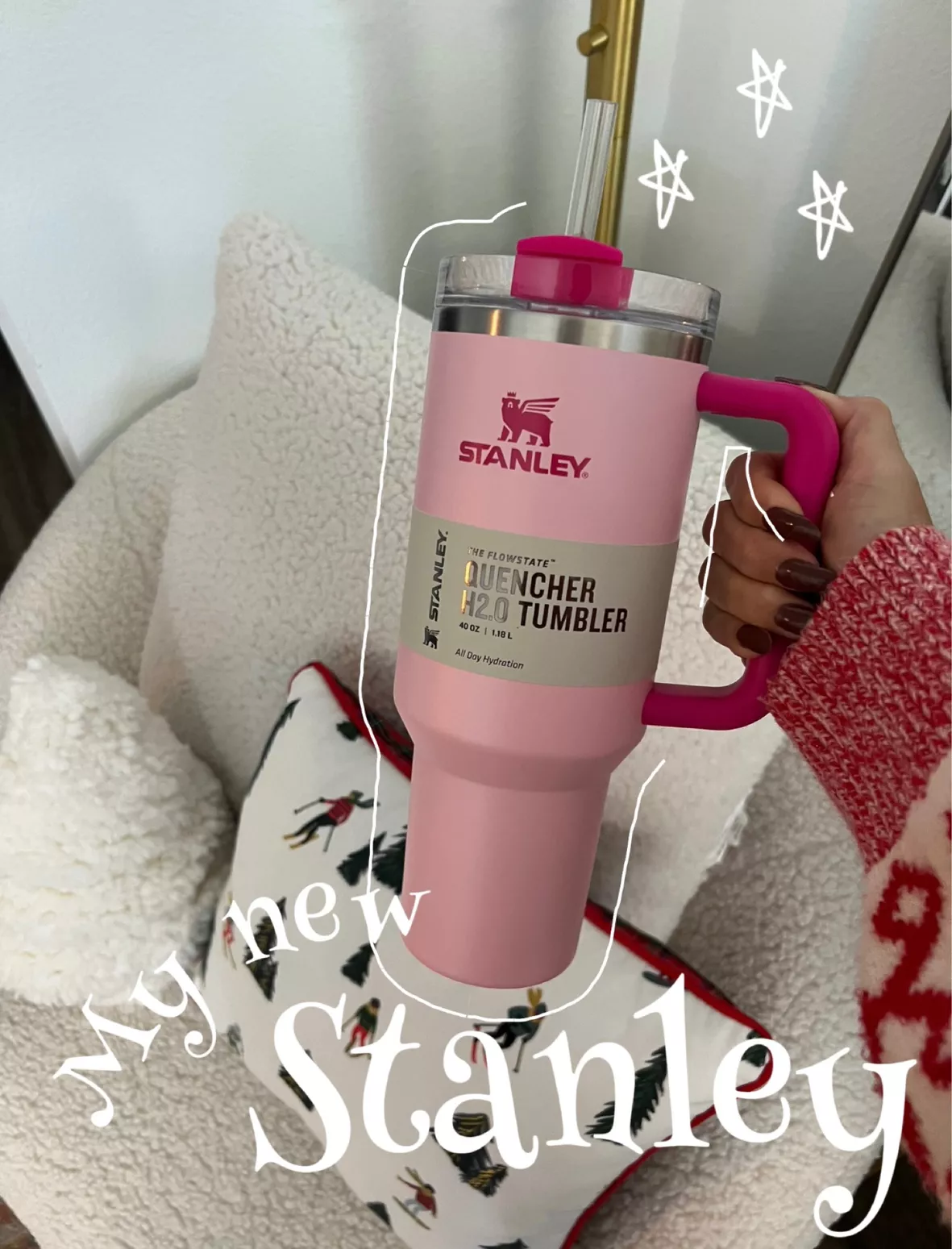 Stanley 40oz Stainless Steel H2.0 Flowstate Quencher Tumbler Flamingo PINK  NEW
