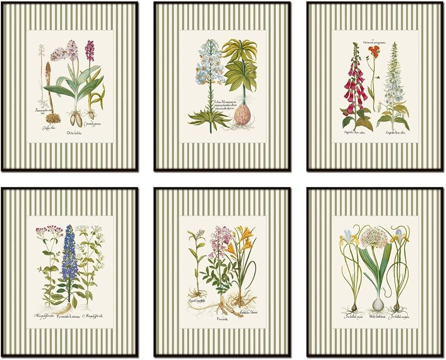Green Striped Antique Botanical Prints No 3, Botanical Prints, Wall Art Prints, Vintage Wall Art,... | Amazon (US)