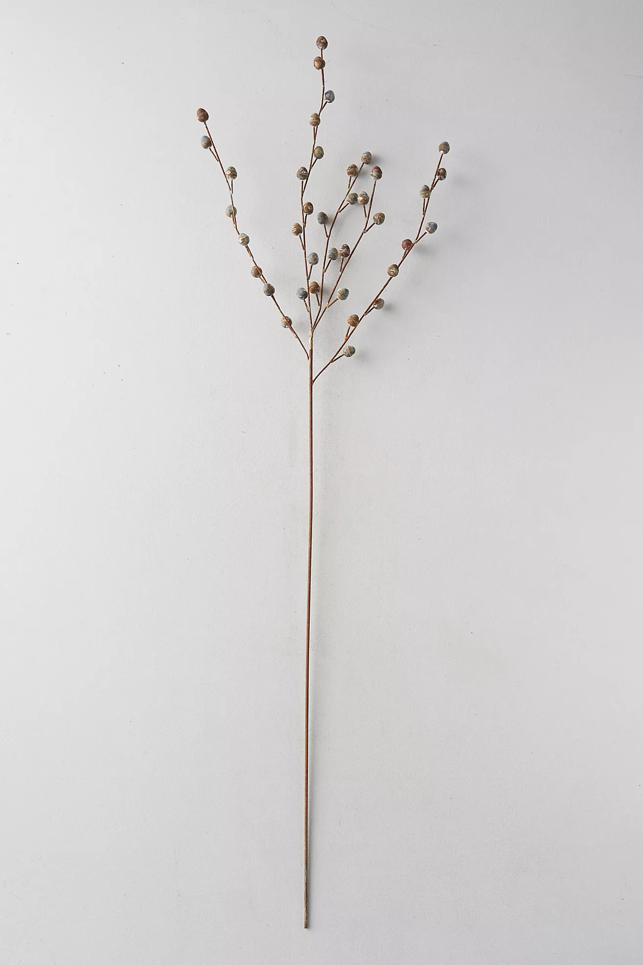Iron Pussy Willow Stem | Anthropologie (US)