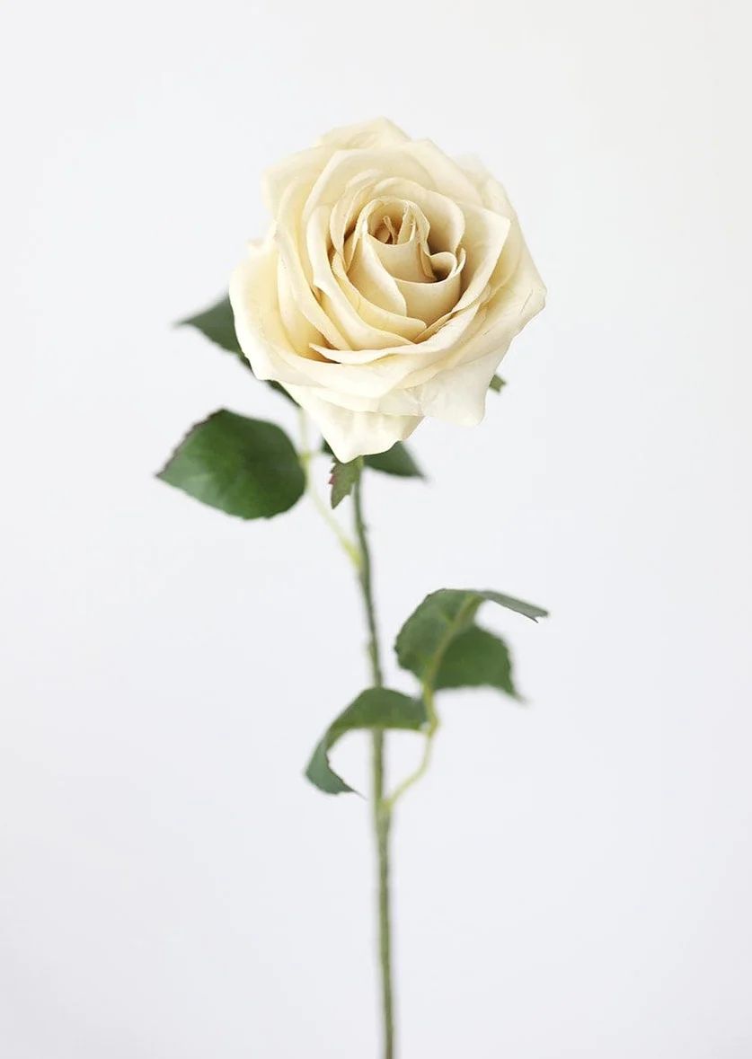 Artificial Rose in Eggshell Cream - 21.5" | Afloral
