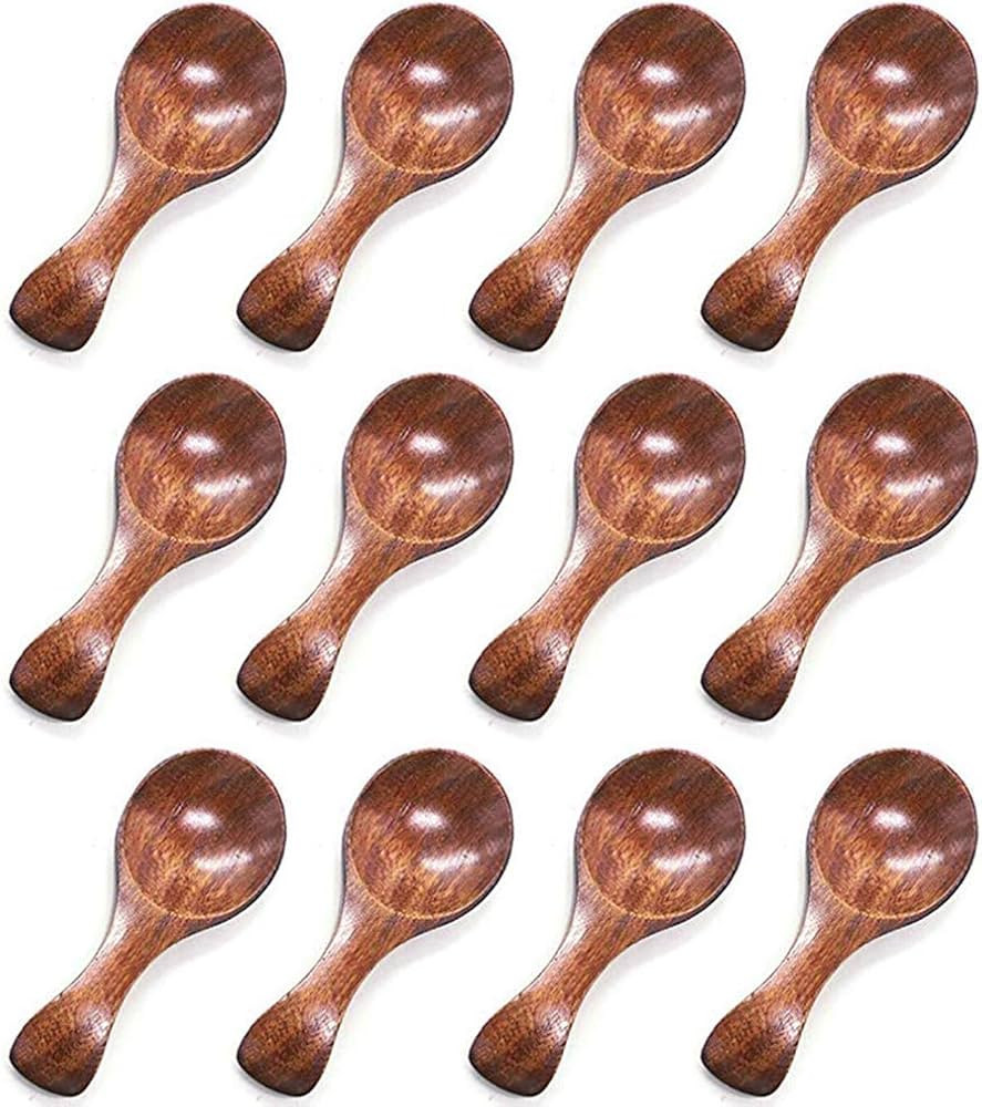 HANSGO Small Wooden Spoon, 10PCS 3 inches Ice Cream Salt Spoon Honey Coffee Tea Sugar Salt Jam Mu... | Amazon (US)