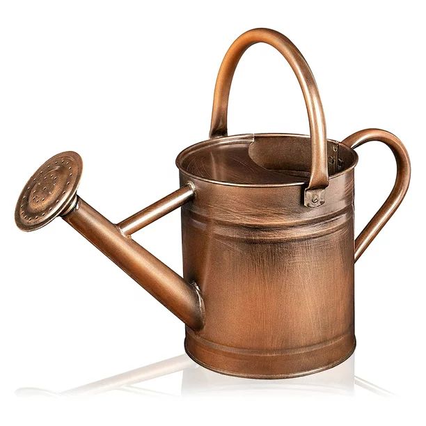 Watering Can - Metal Watering Can With Removable Spout, Perfect Plant Watering Can | Walmart (US)