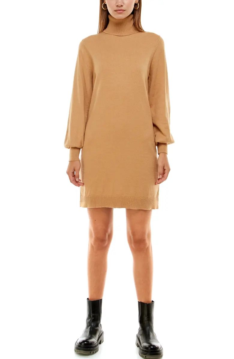 Morela Long Sleeve Turtleneck Sweater Dress | Nordstrom