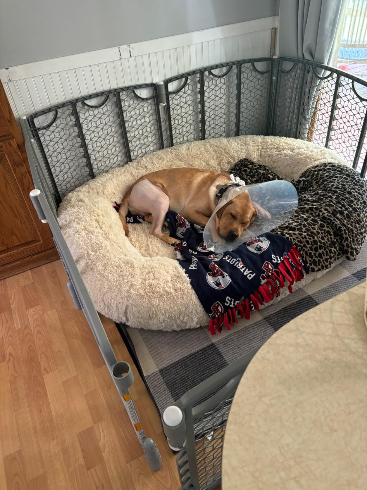 Bedsure Memory Foam Human Dog Bed, 72"x48"x12" Calming Giant Human Dog Bed for Adults People Fits... | Amazon (US)