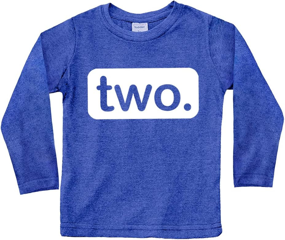 2nd Birthday Shirt boy 2 Year Old Toddler Kids Outfit Second Two t-Shirt Party | Amazon (US)