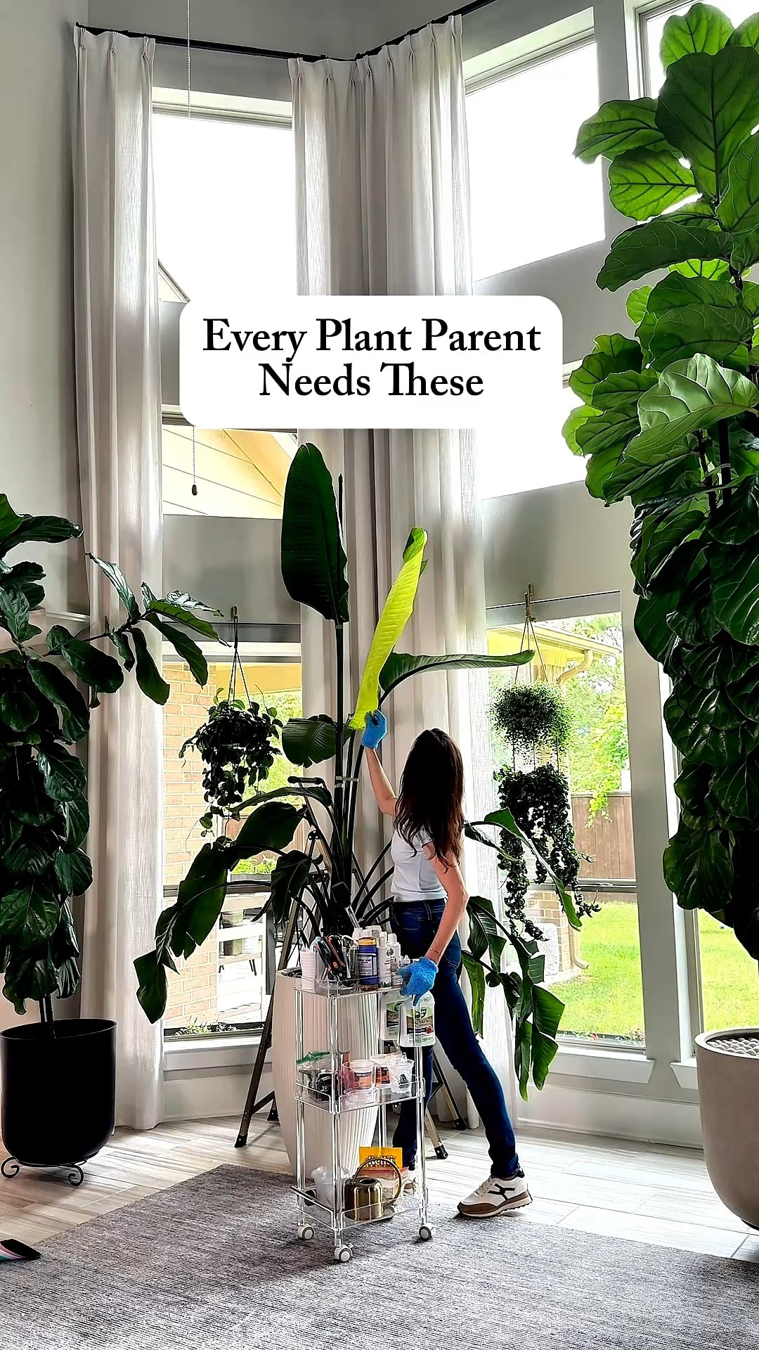 Plant care should be easy — and these 3 products make it exactly that 🌿 A mobile plant care cart, a lightweight step ladder, and a mobile repotting station. Game changers, every single one. 

#houseplants #plantcare #plantmom #houseplantcommunity #plantparent
houseplant must haves | plant care products | easy plant care tips”

#LTKOver40 #LTKmomlife #LTKMothersDay