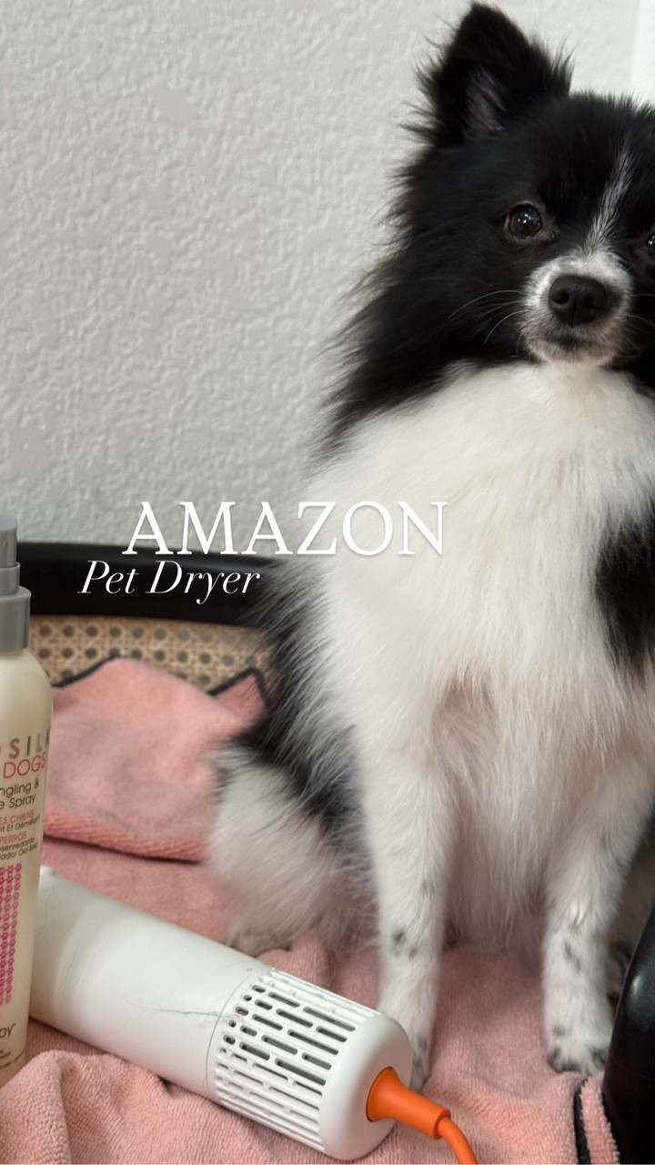 Love this pet dryer!


#LTKmomlife #LTKdayinmylife #LTKHome