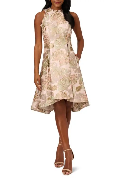 Adrianna Papell Floral Jacquard Fit & Flare Dress in Peach Multi at Nordstrom, Size 4 | Nordstrom