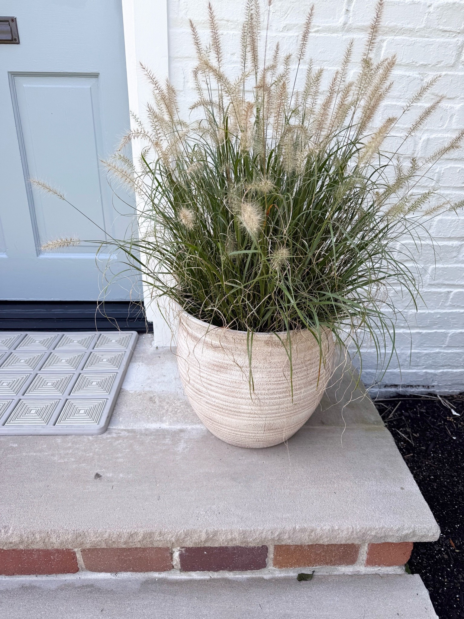A beautiful porch planter can make such a difference in an entryway. I love how it adds height, texture, and greenery to the front door while creating a welcoming look that works throughout the seasons.

outdoor planter, front porch planter, porch decor, entryway styling, outdoor flower pot, front door decor, seasonal porch decor, outdoor greenery, fall porch decor, classic outdoor decor, curb appeal, girlonthehudson