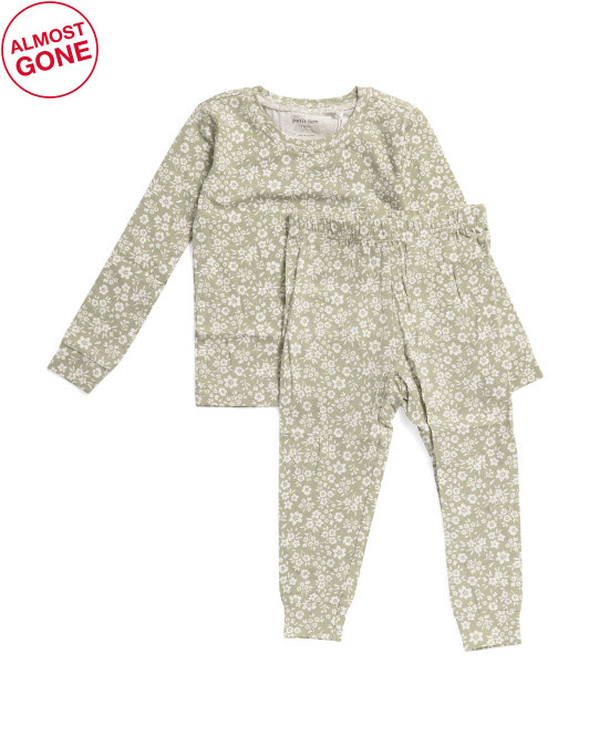 Infant Girls 2pc Meadow Sage Pajama Set | TJ Maxx