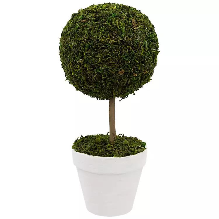 Reindeer Moss Ball Topiary in White Planter | Kirkland's Home