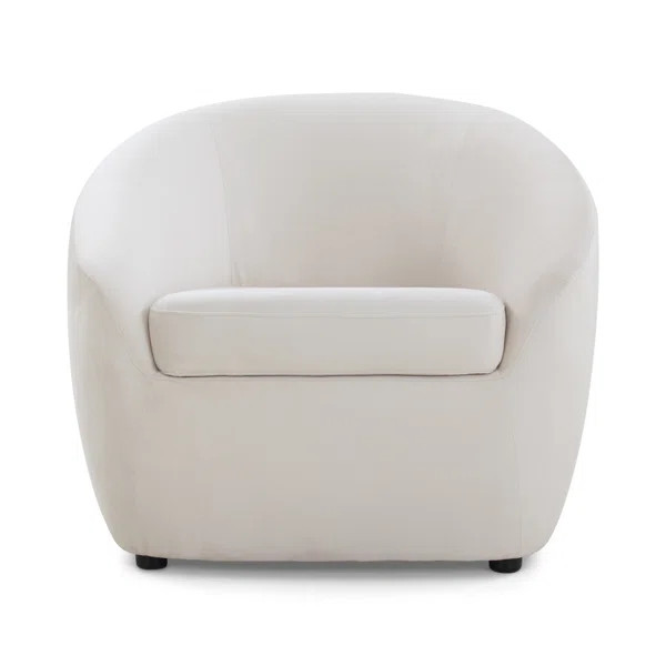 Stargazer Upholstered Barrel Chair | Wayfair North America