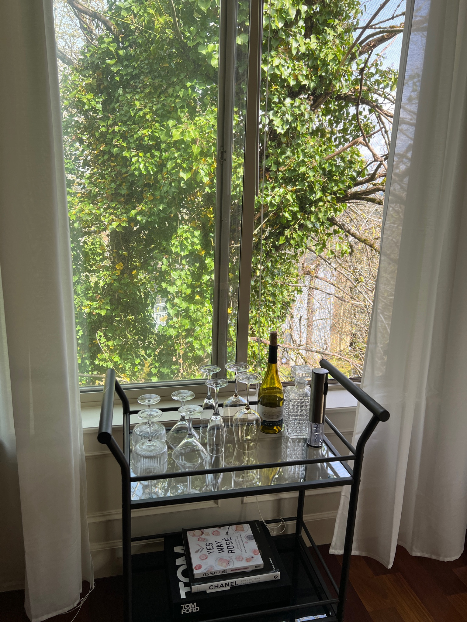 minimal Amazon bar cart styling, the electric wine opener is a game changer! 


coffee table books, amazon home, neutral 

#LTKunder100 #LTKSeasonal #LTKhome