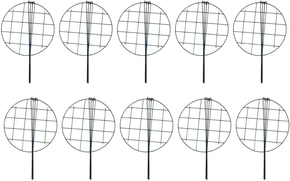MTB 16 x 24 inch Grow Through Plant Support, Pack of 10 Peony Cages and Supports Plant Brace Flow... | Amazon (US)
