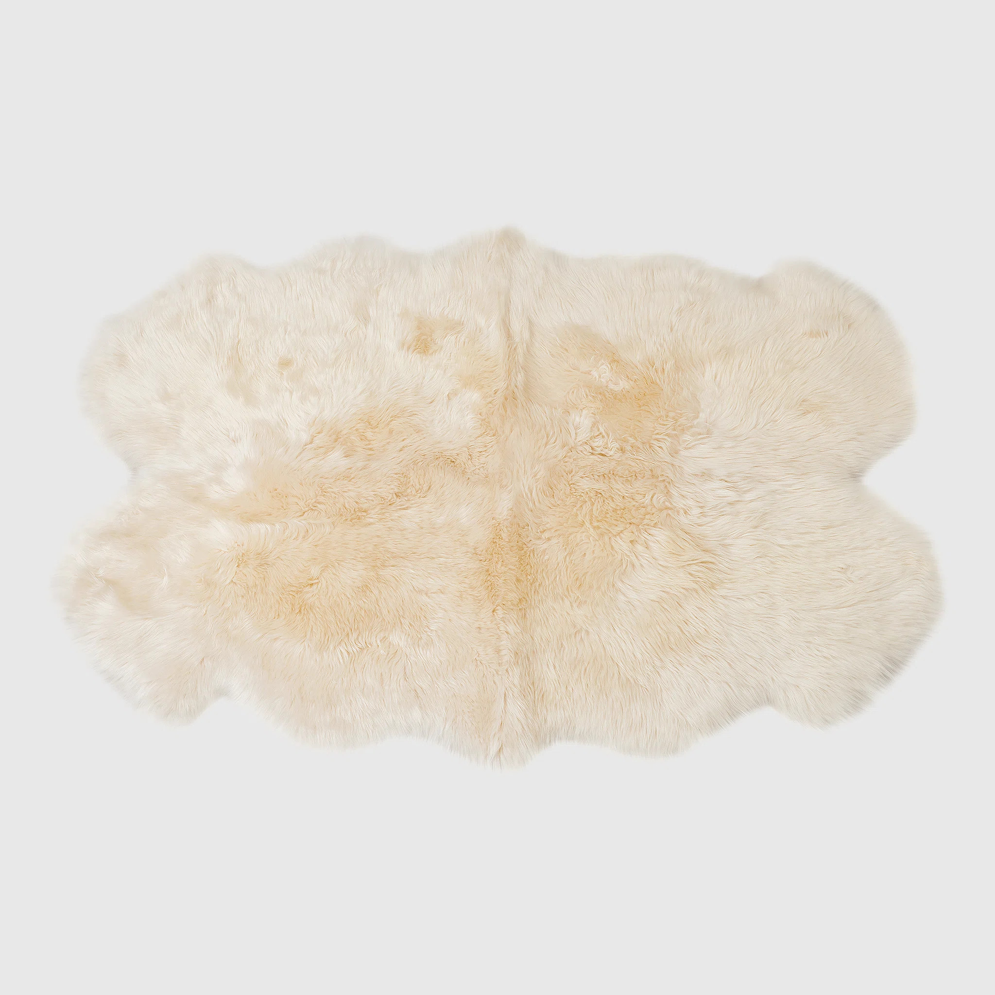 Fris Sheepskin Indoor Rug | Wayfair North America