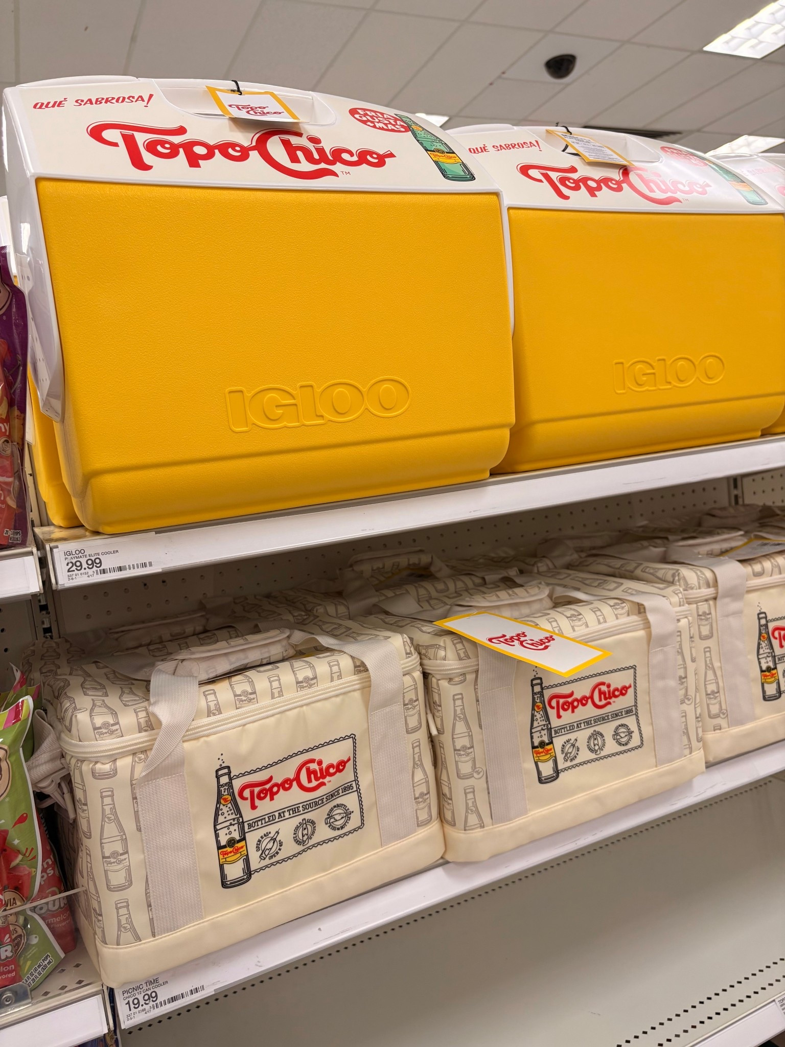 #coolers #targetfinds #summer 

#LTKSeasonal