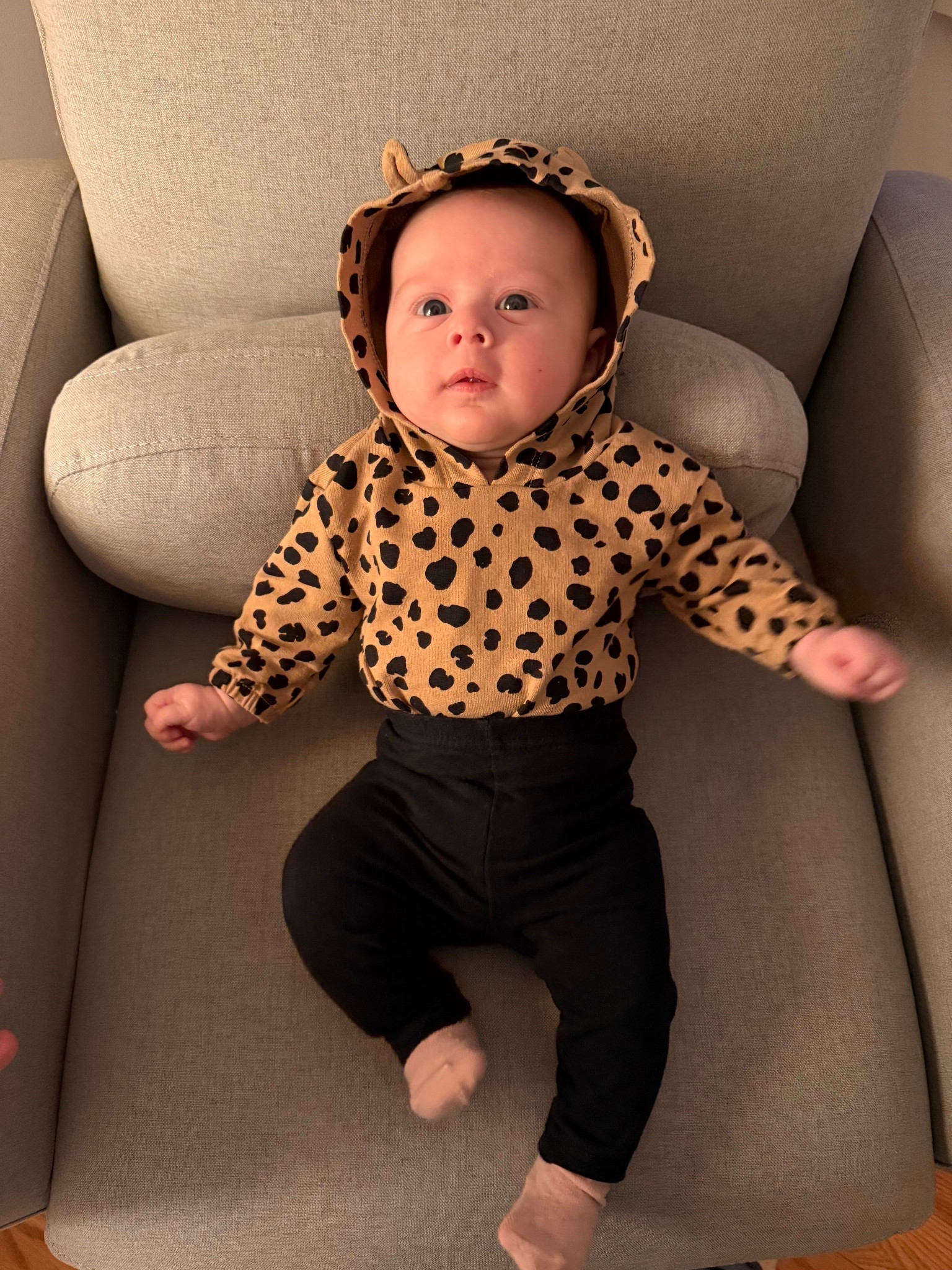 Leopard print for baby

#LTKBaby #LTKKids
