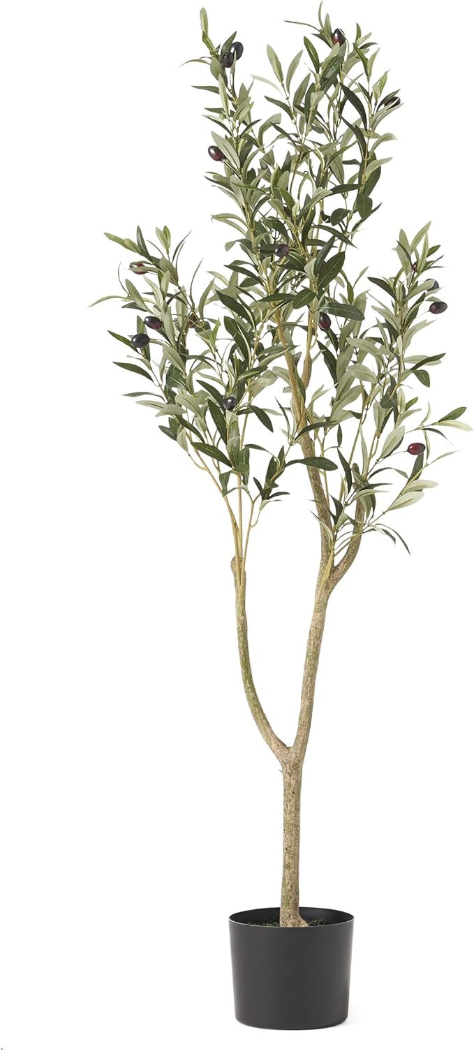 Christopher Knight Home 313745 Artificial Olive Tree, 4' x 1.5', Green | Amazon (US)