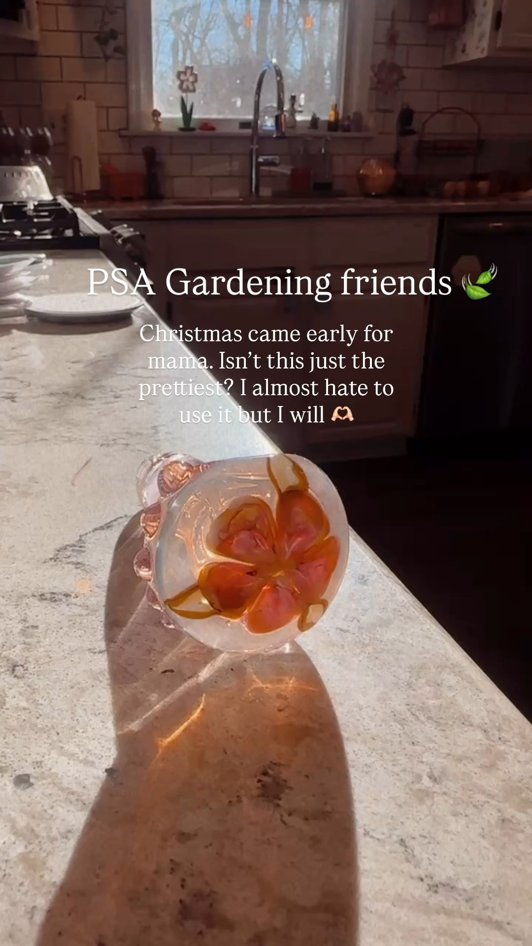 Etsy is the place for so many great gardening accessories 

#LTKselfcare #LTKFindsUnder50 #LTKmomlife