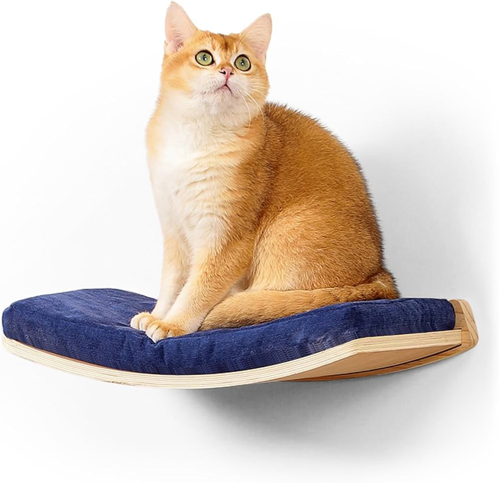 Curved Cat Shelves and Perches, Floating Cat Wall Bed with Comfortable Cushion | Amazon (US)