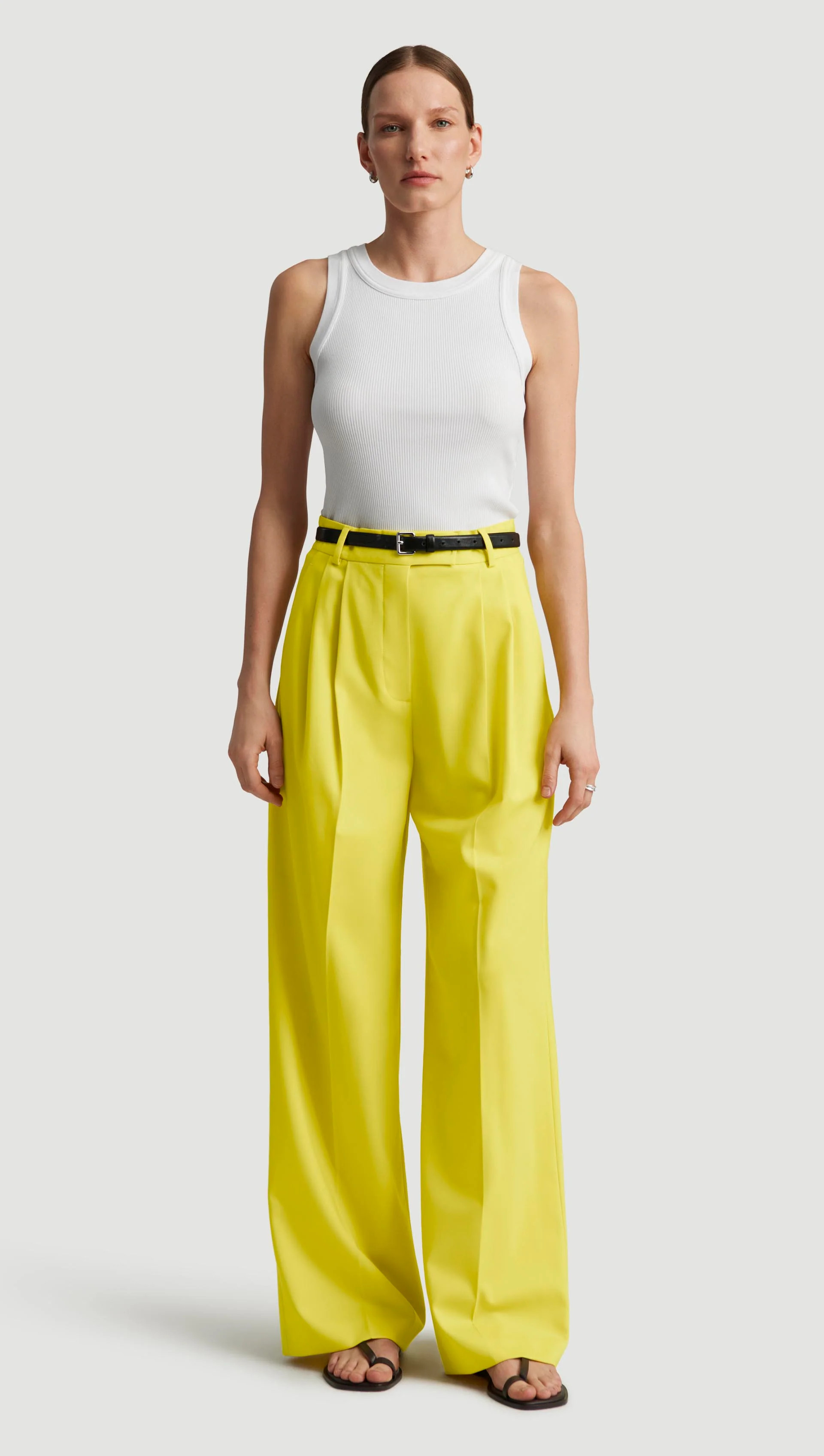 Pleated Trouser in Seasonless Wool | Women's Pants | Argent | Argent