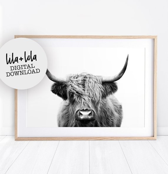 Highland Cow Print - PRINTABLE WALL ART -  black and white photo, farm animal, large poster, digi... | Etsy (US)