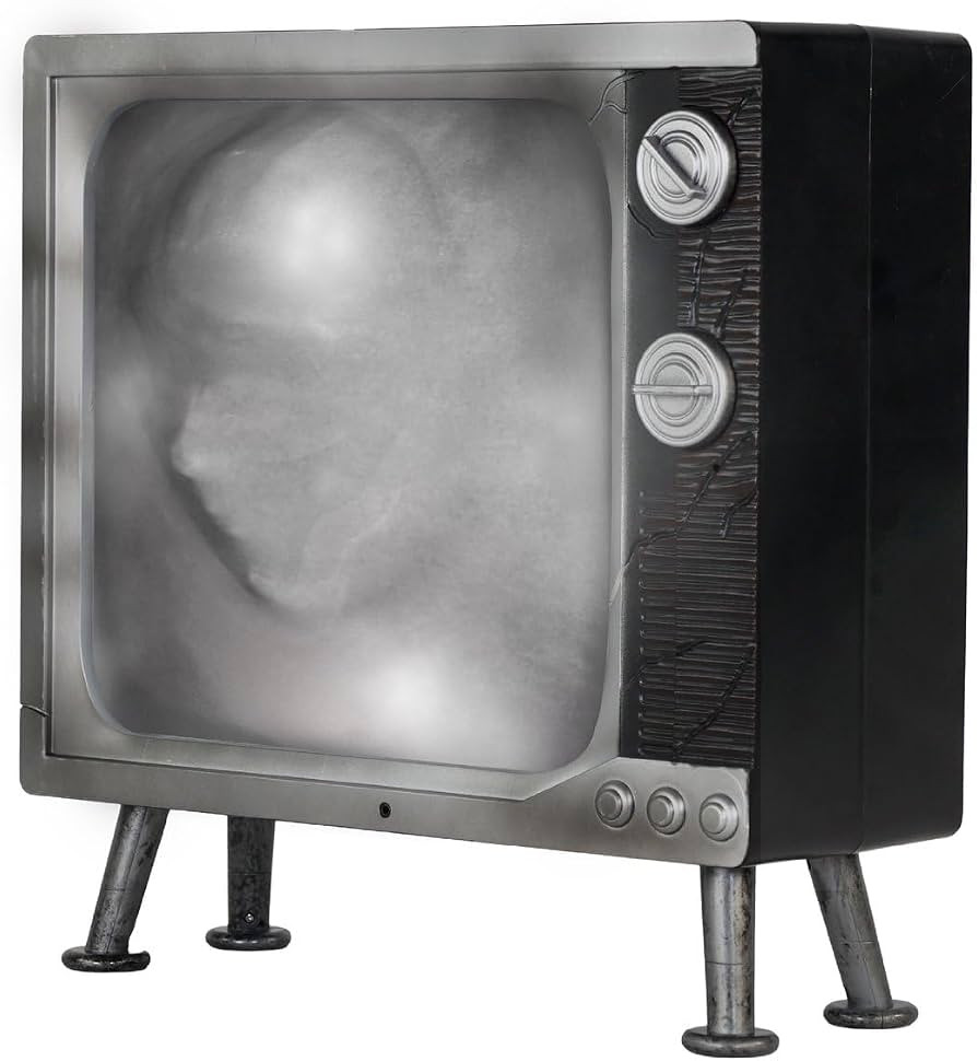 Haunted Hill Farm Haunted TV by Tekky, Battery-Operated, Motion Activated | Amazon (US)