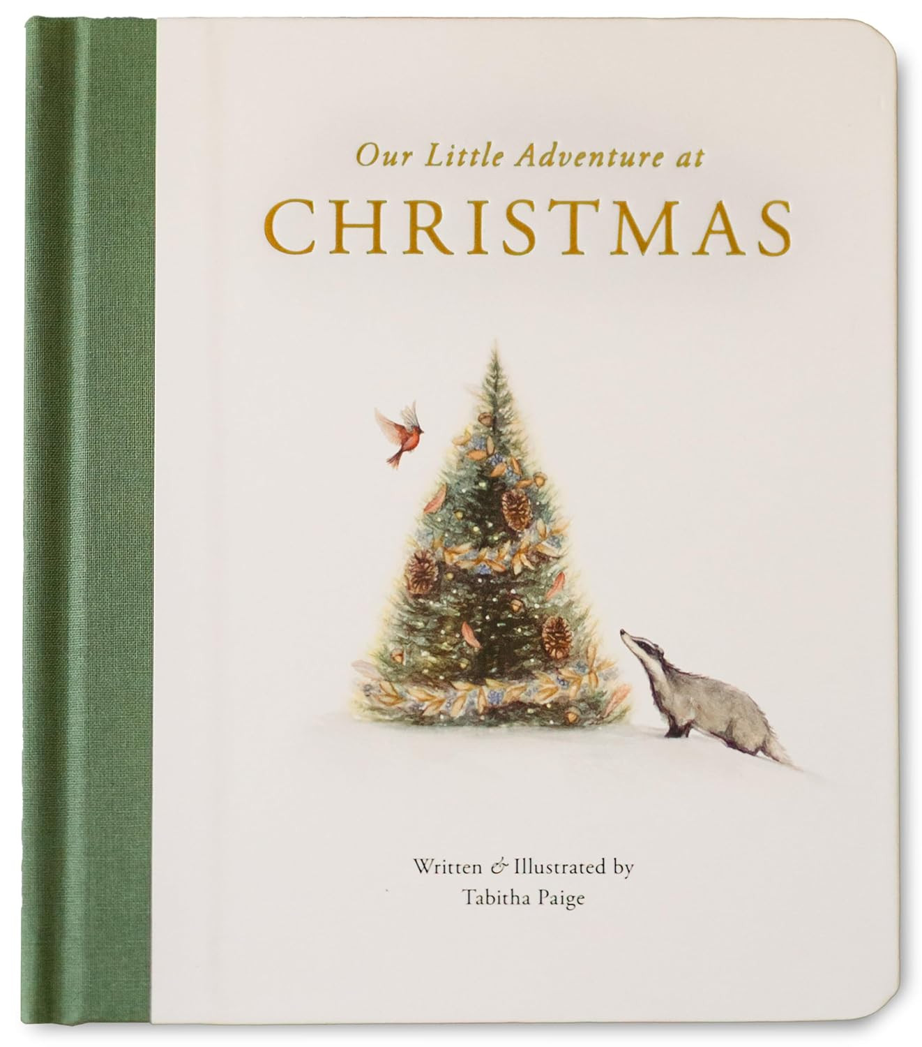 Our Little Adventure at Christmas: Featuring Foundational Language Concepts and Lessons on the Jo... | Amazon (US)