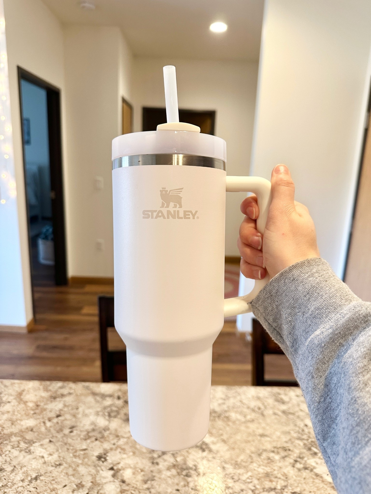 Christmas Gift Idea for Her: White Stanley Tumbler

Stanley tumbler, white Stanley cup, insulated tumbler, neutral drinkware, aesthetic cup, work from home essentials, iced coffee cup, travel mug, minimalist kitchen, gift idea for teenage girls, everyday essentials, stocking stuffers, Christmas gift guide, gifts for mom, gifts for sister, gifts for girlfriend, teen girl gift, holiday shopping finds

#LTKCyberWeek #LTKGiftGuide #LTKHoliday