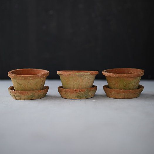 Earth Fired Clay Thin Rim Pot + Saucer, Set of 3 | Terrain