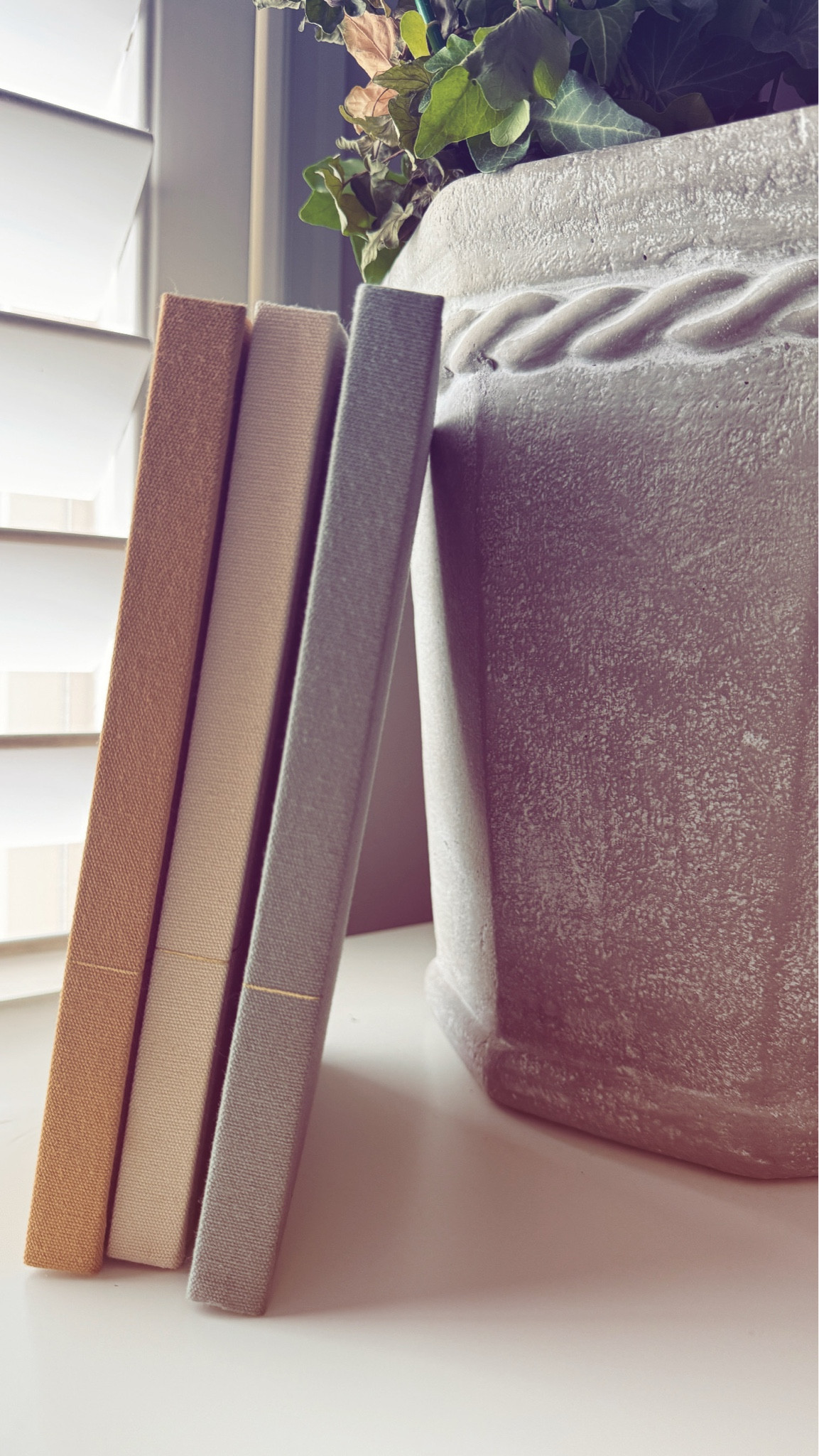 Two things on my desk that I am loving. New journals 📖 and the prettiest concrete planter 🌱 

#LTKSeasonal #LTKHome #LTKFindsUnder50