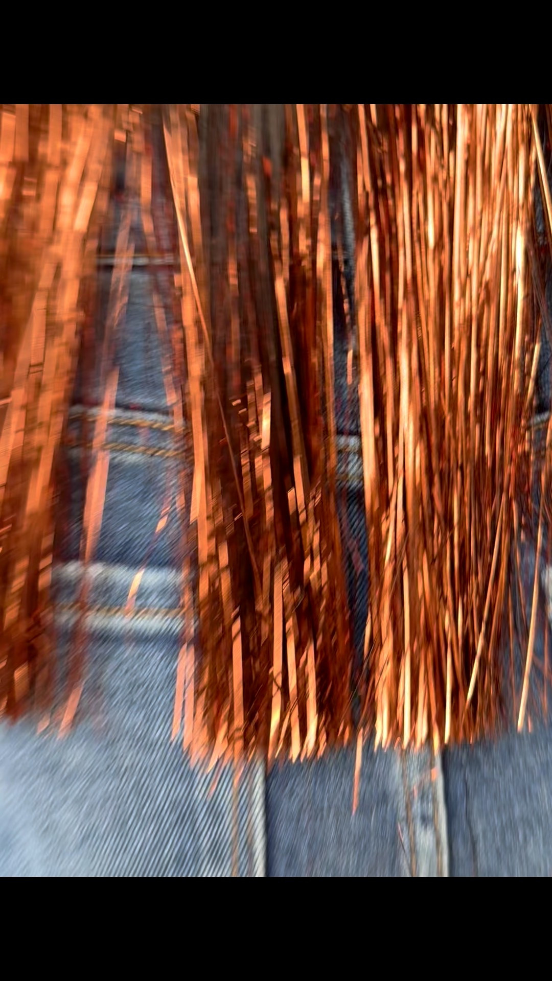 The most amazing fringe shirt for date night, holidays, and everything in between! 

#LTKParties #LTKSeasonal #LTKHoliday