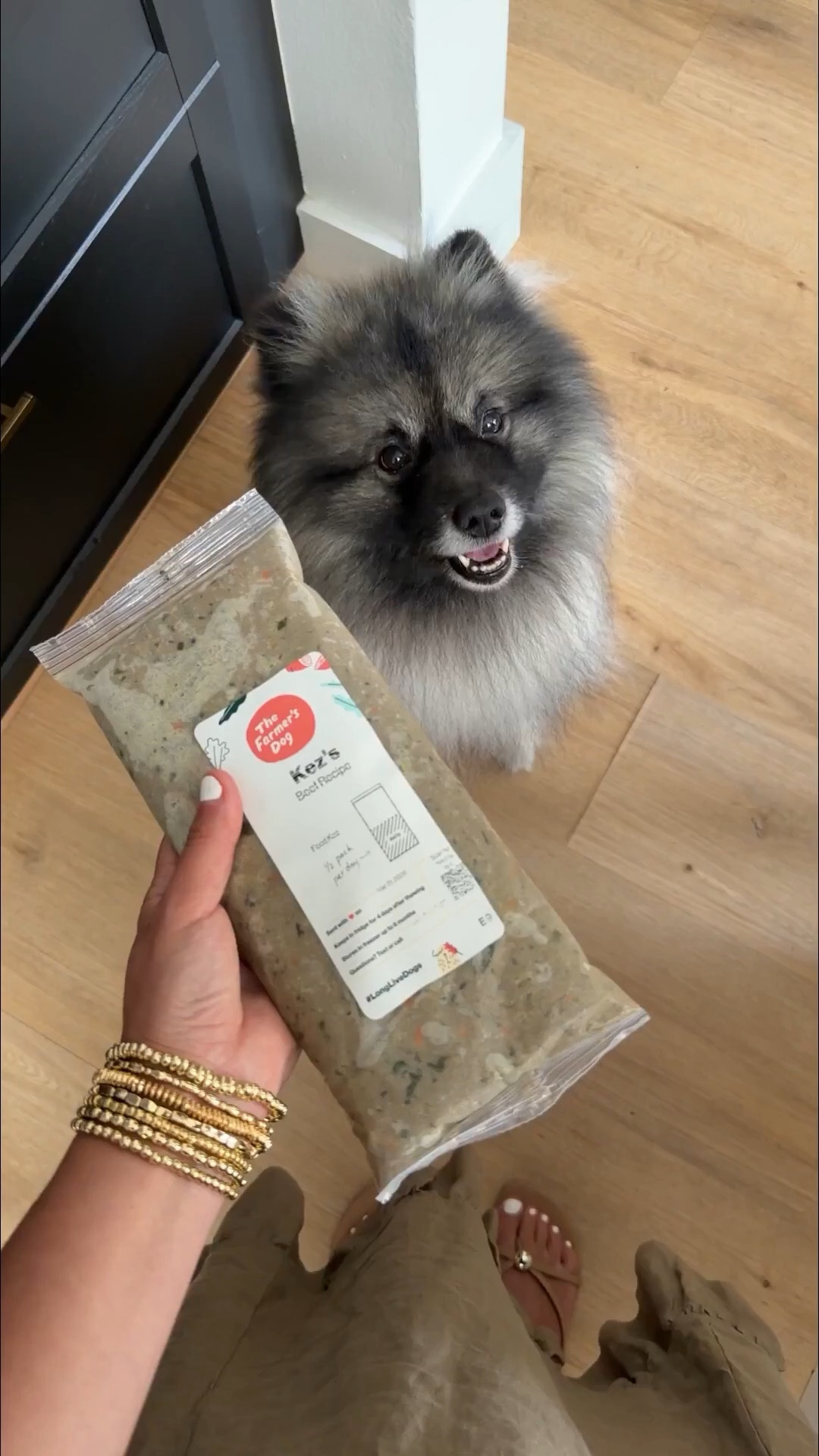 Spring just feels better when you can bring your dog along 🐾  I’ve been feeding him fresh, pre portioned meals from @thefarmersdog and it’s made it so easy to keep him feeling his best for all our time outside. Save 60% off your first box of The Farmer’s Dog

 #TFDpartner #thefarmersdog