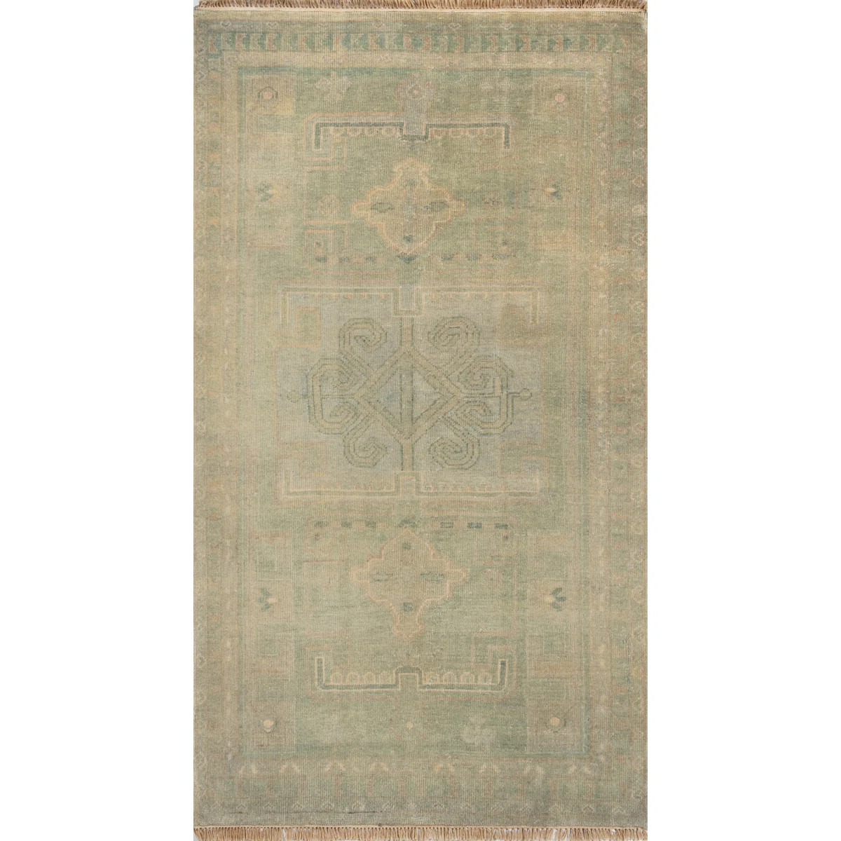 Ambrosia Wool Oriental Indoor Rug | Wayfair North America
