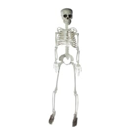 Skeleton  | Five Below