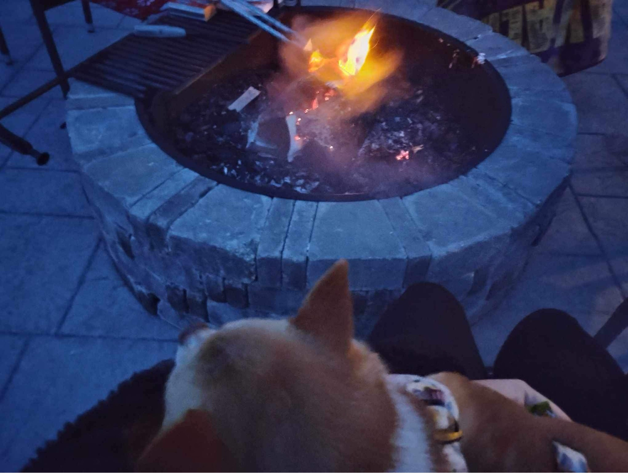 snooooooozin’ by the fire🪵