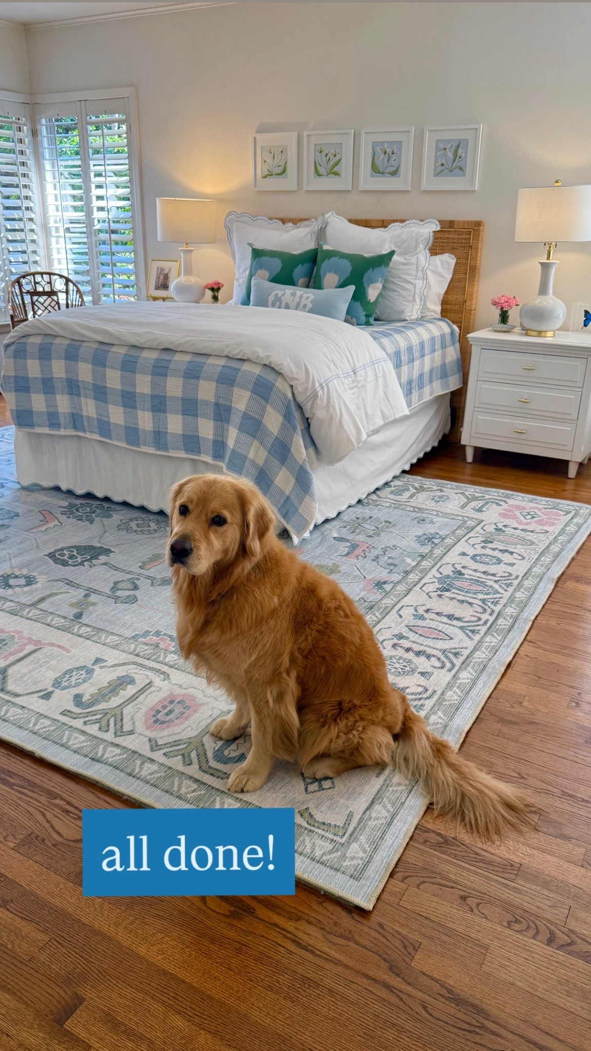 Mini Makeover of my daughters room! 💙

#LTKSaleAlert #LTKHome