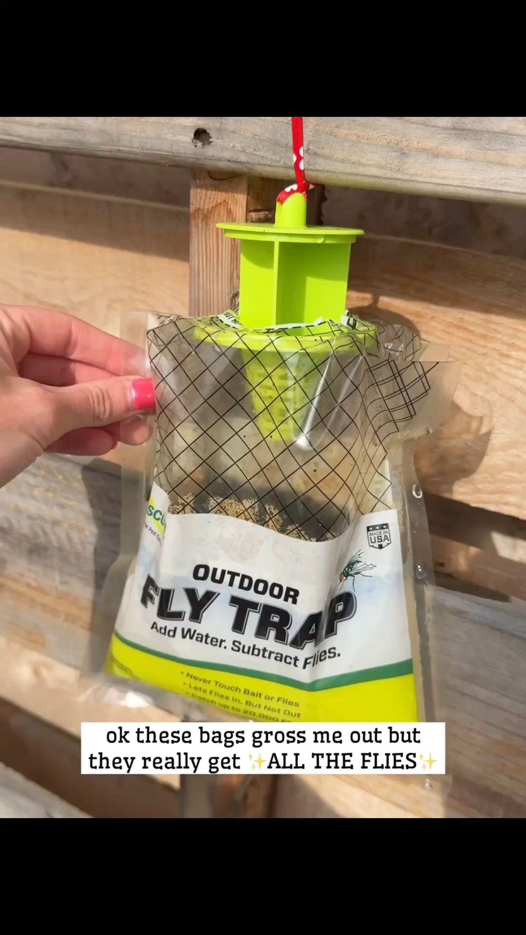 Outdoor fly traps!! They really work and are worth it!!

#LTKSeasonal #LTKHome #LTKmomlife
