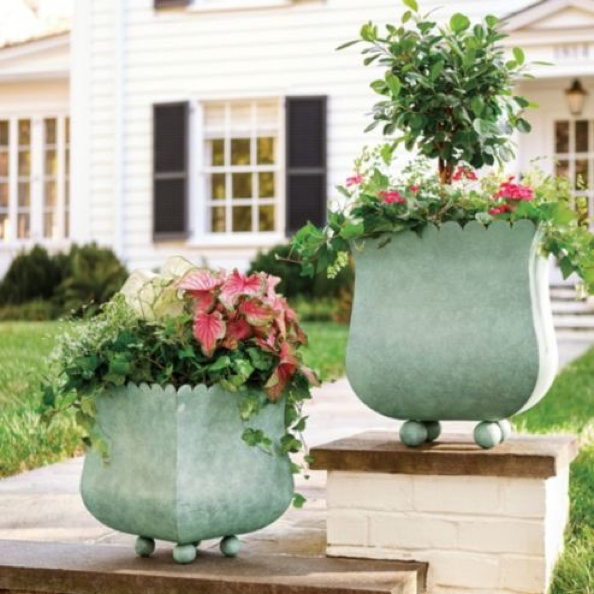 Planter

#LTKSeasonal #LTKhome #LTKsalealert