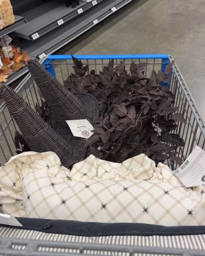 So many cute finds at Walmart right now!

#LTKHome #LTKSaleAlert