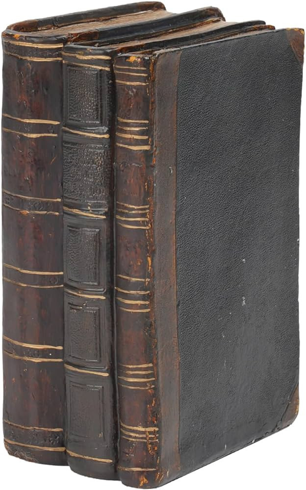 Decorative Books Coffee Table Books Decor - Resin Retro Classical Fake Decorative Books Set of 3 ... | Amazon (US)