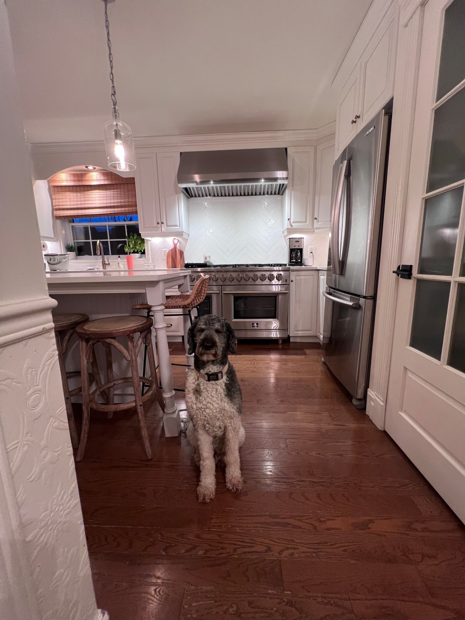 Winnie  🥰🐩

#LTKCyberWeek #LTKmomlife #LTKGiftGuide