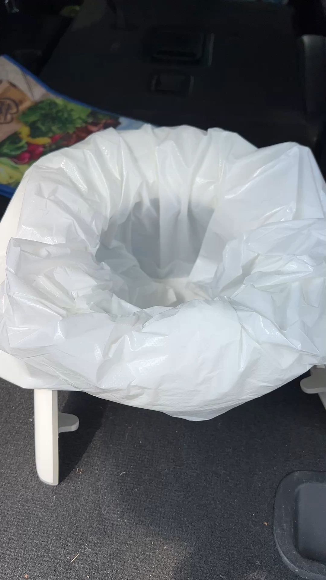 This is the travel potty that lives in our trunk! We use it ALL the time, and it's so helpful when potty training too. I like that this one has bags so you can easily clean it up on the go. 

#LTKTravel #LTKHome #LTKKids
