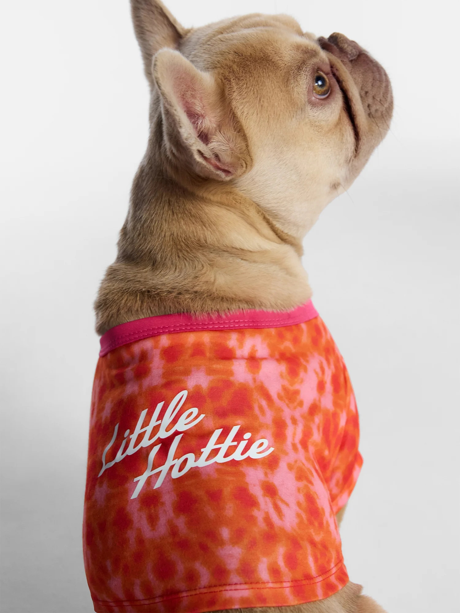 Hot Dog Summer By Megan Thee Stallion Little Hottie Dog T-shirt, Pink and Orange, Extra Small | Walmart (US)