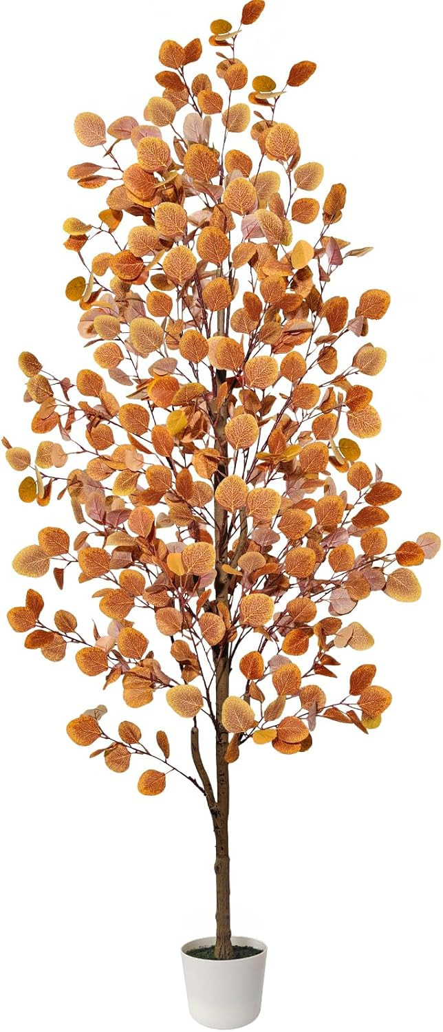 In Stock | Amazon (US)