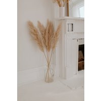 Feathered Fluffy Dried Pampas Grass Decor & Weddings Beige Color | Large Pampas | Etsy (US)